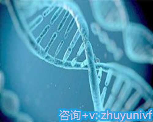 解析杭州供精费用与试管代怀成功率