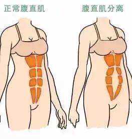 杭州卵巢早衰借卵怀孕：助您实现生育梦想的专业医疗指南