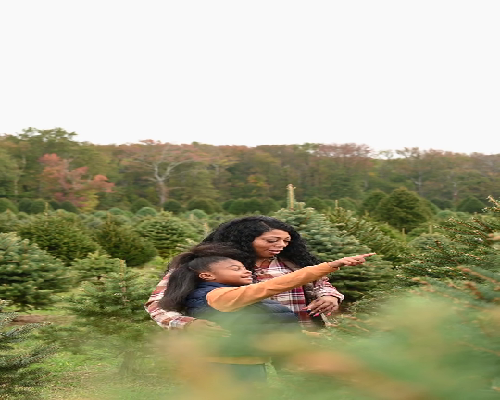 杭州代孕价格表参考让您圆梦生子，拥有完美生活